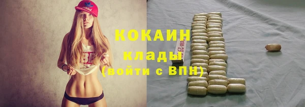 ГАЛЛЮЦИНОГЕННЫЕ ГРИБЫ Аркадак