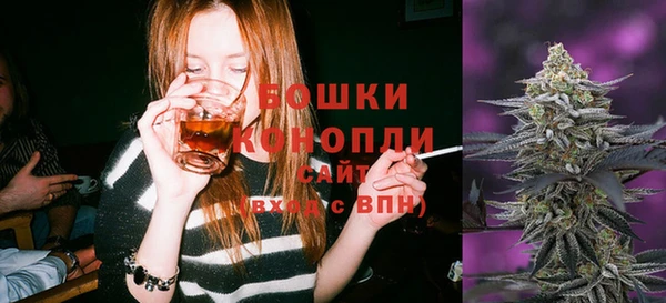 ГАЛЛЮЦИНОГЕННЫЕ ГРИБЫ Аркадак