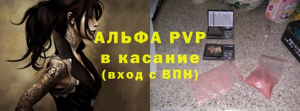 ГАЛЛЮЦИНОГЕННЫЕ ГРИБЫ Аркадак