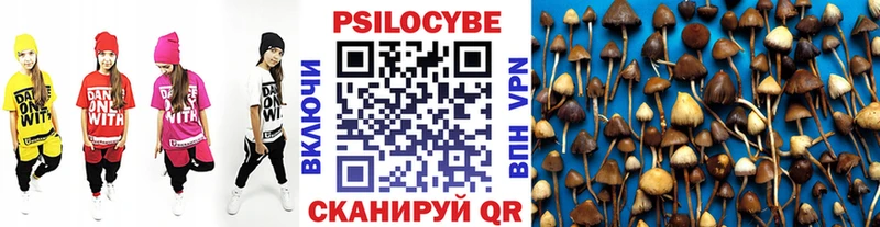 MEGA ССЫЛКА  наркота  Старая Купавна  Псилоцибиновые грибы Psilocybine cubensis 